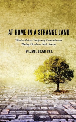 At Home In A Strange Land [Paperback]