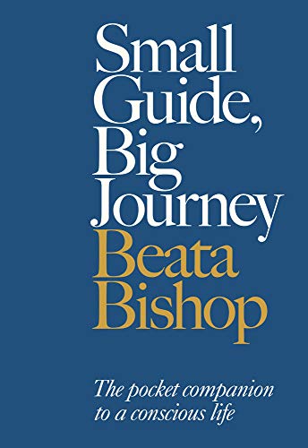 Small Guide, Big Journey: The Pocket Companion to a Conscious Life [Paperback]