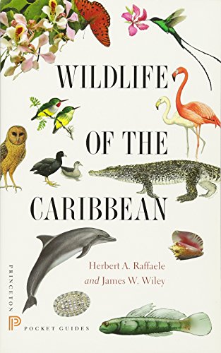 Wildlife Of The Caribbean (princeton Pocket G