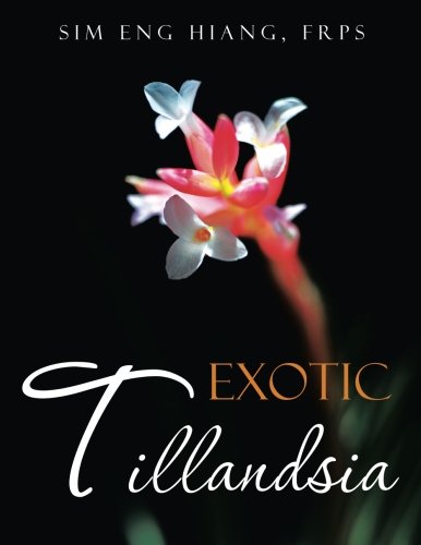 Exotic Tillandsia [Paperback]