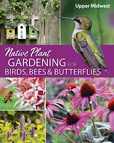 Native Plant Gardening for Birds, Bees, and B