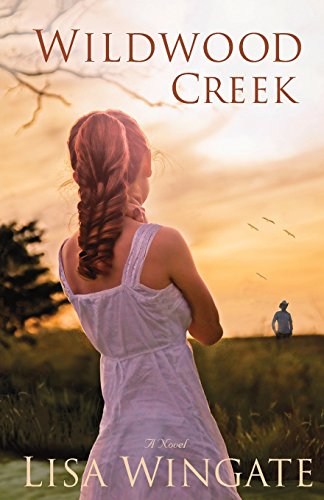 Wildwood Creek: A Novel [Paperback]