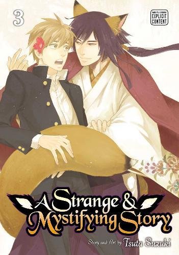 A Strange and Mystifying Story, Vol. 3 [Paperback]