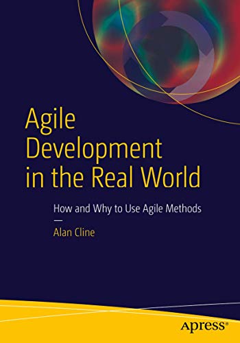 Agile Development in the Real World [Paperback]