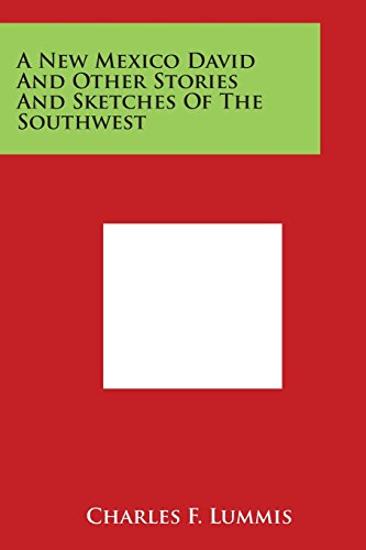 Ne Mexico David and Other Stories and Sketches of the Southest [Paperback]