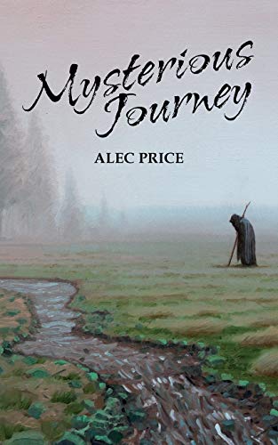 Mysterious Journey [Paperback]