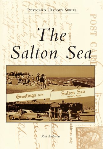 The Salton Sea [Paperback]