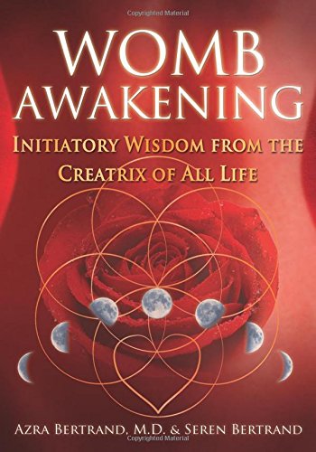 Womb Awakening: Initiatory Wisdom from the Creatrix of All Life [Paperback]