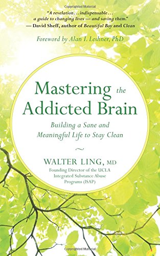 Mastering The Addicted Brain: Building A Sane And Meaningful Life To Stay Clean [Paperback]