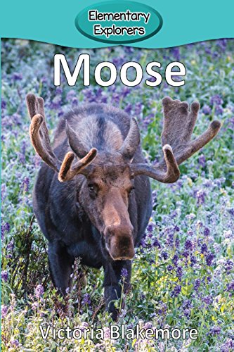 Moose (elementary Explorers) [Paperback]