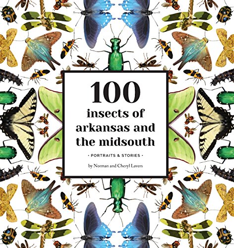 100 Insects of Arkansas and the Midsouth  Portraits and Stories [Paperback]