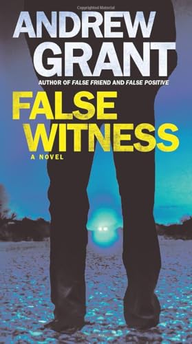 False Witness: A Novel [Paperback]