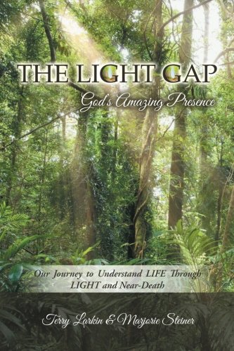 The Light Gap God's Amazing Presence [Paperback]