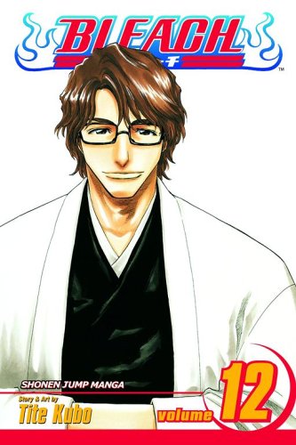 Bleach, Vol. 12 [Paperback]