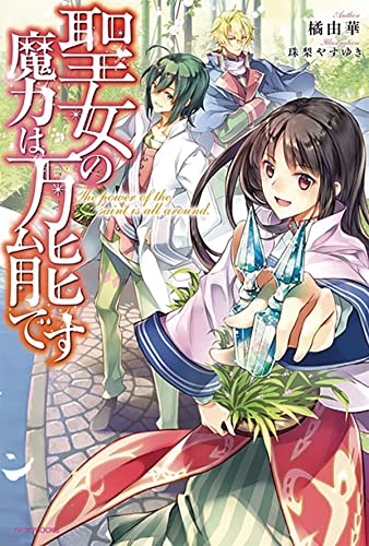 The Saint's Magic Power is Omnipotent (Light Novel) Vol. 1 [Paperback]