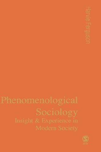 Phenomenological Sociology Experience and Insight in Modern Society [Hardcover]