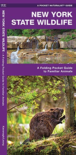 New York State Wildlife: A Folding Pocket Guide to Familiar Species [Pamphlet]