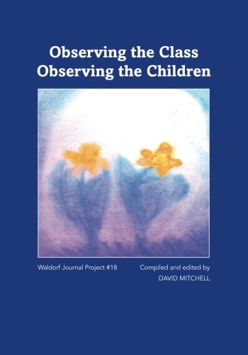 Observing The Class Observing The Children [Paperback]