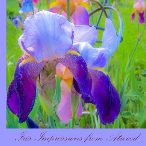 Iris Impressions from Atood [Paperback]