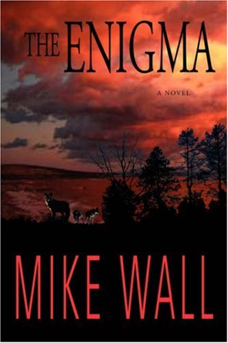 The Enigma [Paperback]