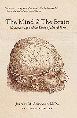 The Mind And The Brain: Neuroplasticity And The Power Of Mental Force [Paperback]