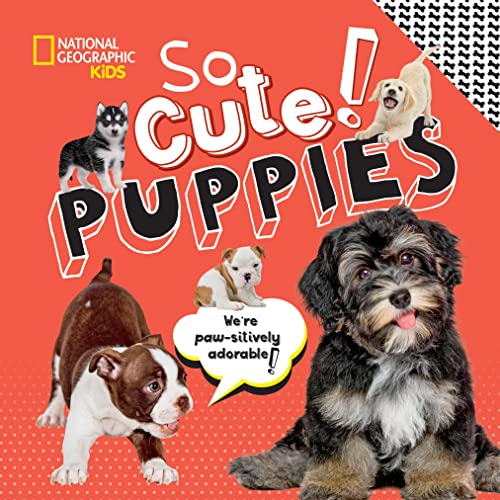 So Cute! Puppies [Hardcover]