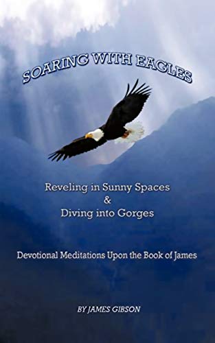 Soaring ith Eagles  Reveling in Sunny Spaces and Diving into Gorges Devotional [Paperback]