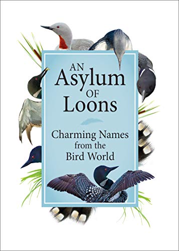 An Asylum of Loons: Charming Names from the B