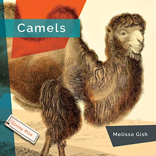 Camels [Paperback]