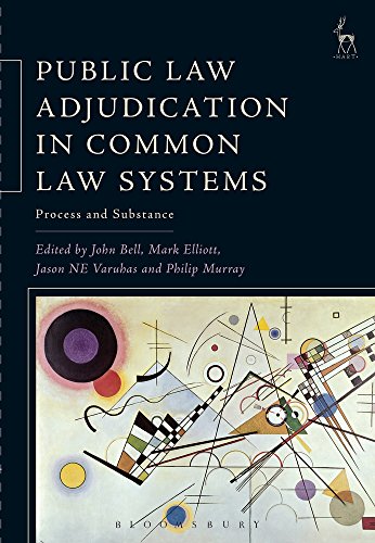 Public La Adjudication in Common La Systems Process and Substance [Paperback]