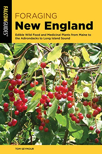 Foraging New England: Edible Wild Food and Medicinal Plants from Maine to the Ad [Paperback]