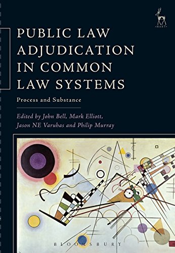 Public La Adjudication in Common La Systems Process and Substance [Hardcover]