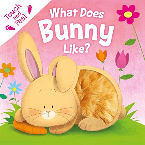 What Does Bunny Like?: Touch & Feel Board Book [Board book]