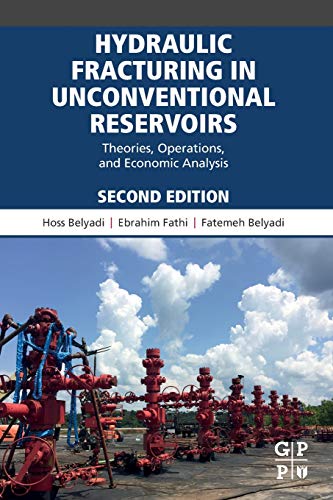 Hydraulic Fracturing in Unconventional Reservoirs Theories, Operations, and Eco [Paperback]