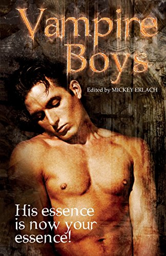 Vampire Boys [Paperback]