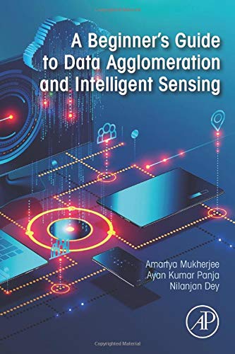 A Beginner's Guide to Data Agglomeration and Intelligent Sensing [Paperback]