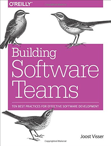 Building Software Teams Ten Best Practices for Effective Software Development [Paperback]