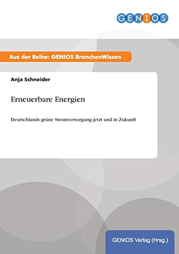 Erneuerbare Energien (german Edition) [Paperback]