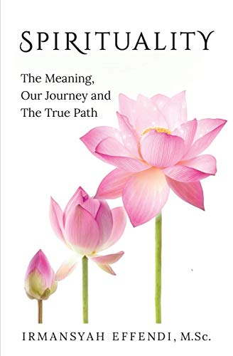 Spirituality  The Meaning, Our Journey and the True Path [Paperback]