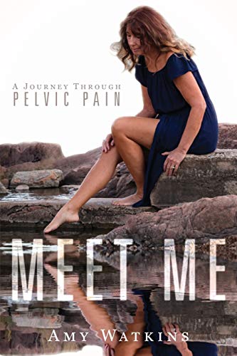 Meet Me  A Journey Through Pelvic Pain [Paperback]