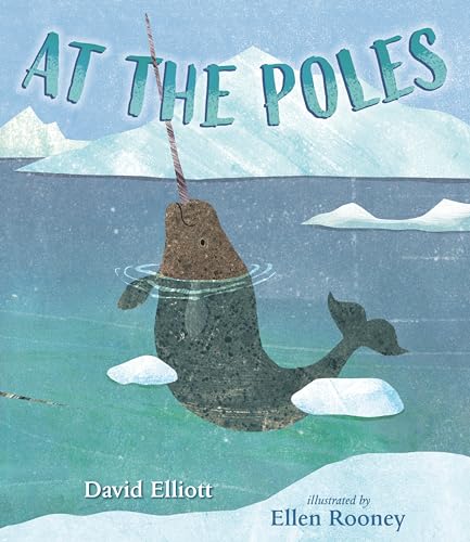 At the Poles [Hardcover]