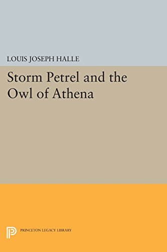 Storm Petrel and the Ol of Athena [Paperback]