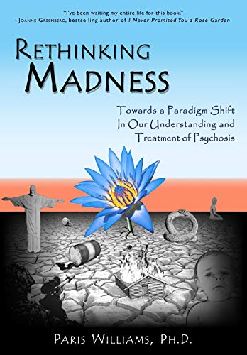 Rethinking Madness Toards A Paradigm Shift In Our Understanding And Treatment  [Paperback]