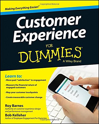 Customer Experience For Dummies [Paperback]