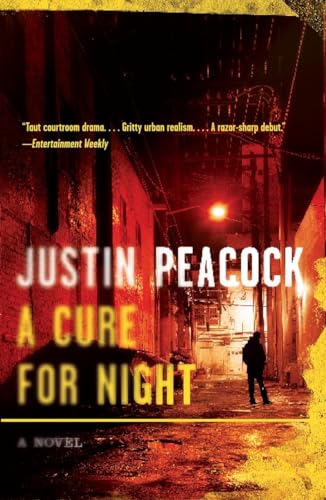 A Cure for Night: A Novel [Paperback]