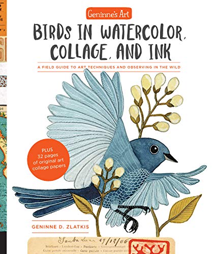 Geninne's Art: Birds in Watercolor, Collage, and Ink: A field guide to art t [Paperback]