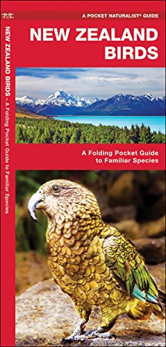 New Zealand Birds: A Folding Pocket Guide to Familiar Species [Pamphlet]