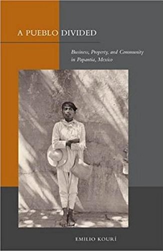 A Pueblo Divided Business, Property, and Community in Papantla, Mexico [Hardcover]