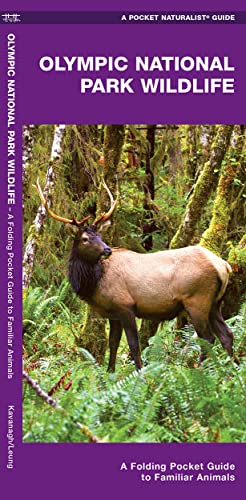 Olympic National Park Wildlife: A Folding Pocket Guide to Familiar Species [Pamphlet]