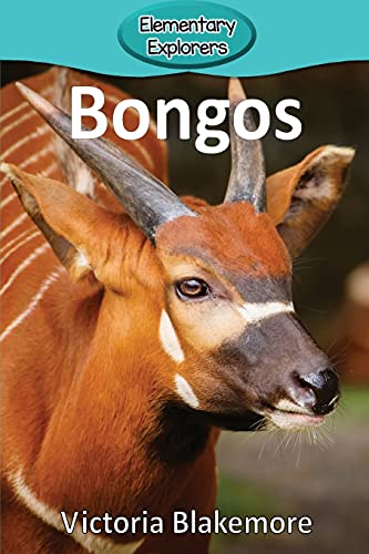 Bongos [Paperback]